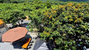 An outdoor seating area with a table and chairs under a brown umbrella, surrounded by lush greenery and trees.