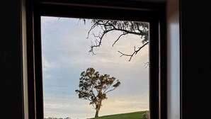 Janela com vista para uma árvore numa colina gramada.