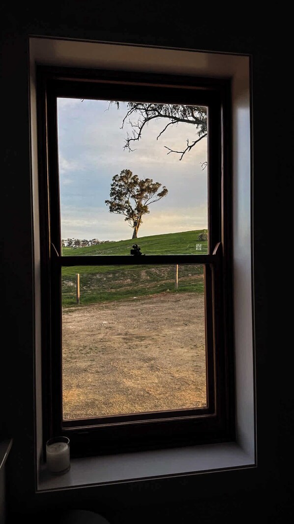 A window with a view of a tree on a grassy hill. - The Old Farm Cottage, Mount Torrens (Mount Torrens)