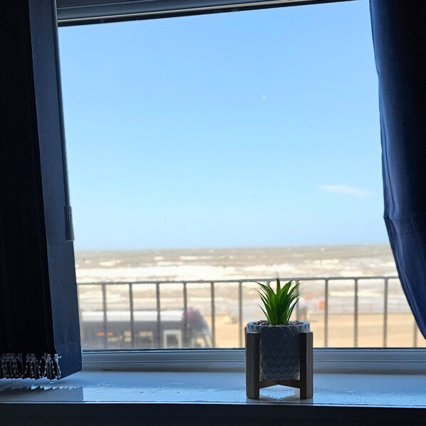A window with a view of the beach, a small potted plant on the windowsill, and a curtain partially drawn.