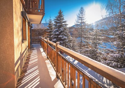 Le « Tout Schuss » Chalet : Vue Panoramique aux Deux Alpes Pour 16 Personnes