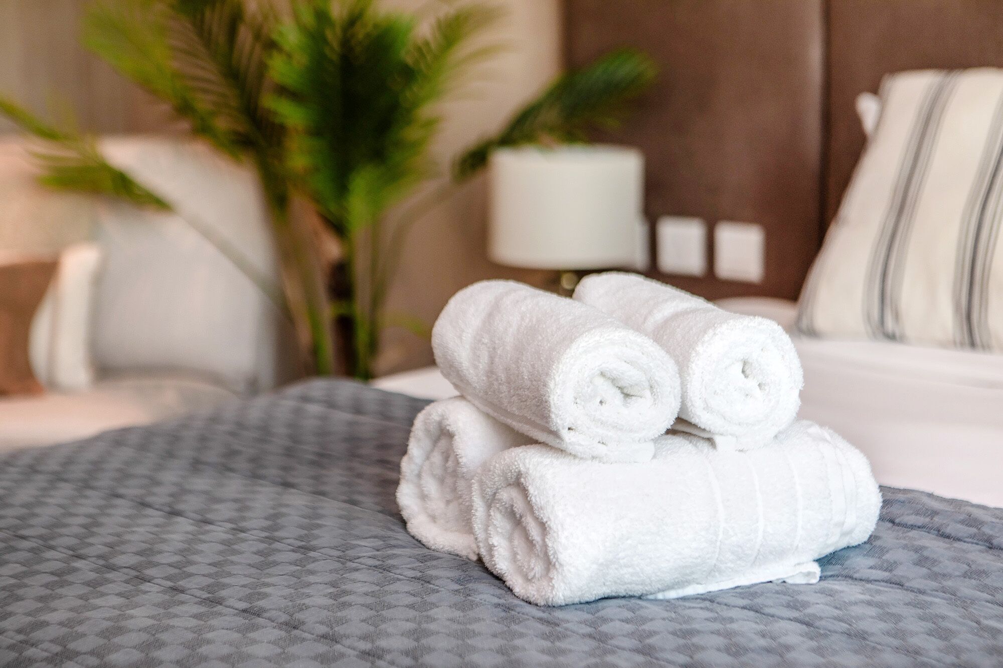 Una cama bien tendida con toallas blancas enrolladas, una colcha de cama gris con estampado y una planta en maceta al fondo.