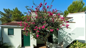 Apartment | Exterior - Zaton Resort Apts. With Pool (Nin)