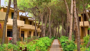 A pathway flanked by trees and greenery, leading to a row of beige buildings with balconies. - Residence Baia Verde, Valledoria (Valledoria)