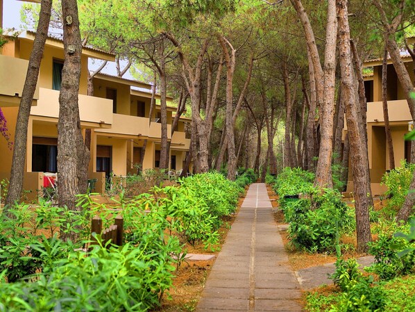 A pathway flanked by trees and greenery, leading to a row of beige buildings with balconies.