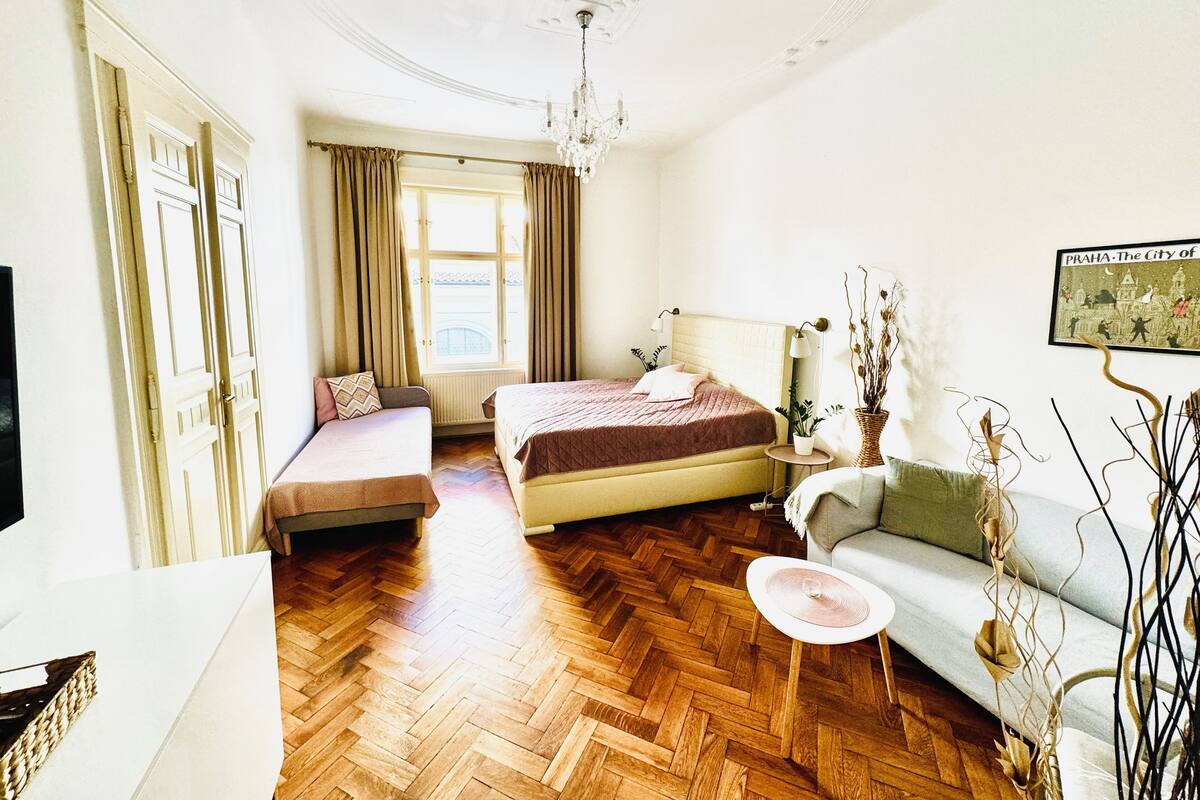 A hotel room with a bed, a sofa, a small table, a potted plant, and a picture on the wall.