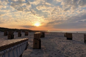 House | View from property - Doppelhaushalfte Luv in Zingst (Zingst)