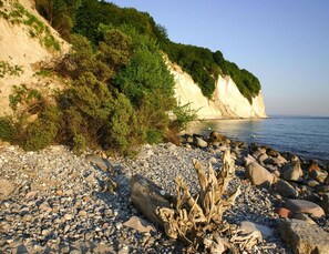 House | View from property - Cottage in Rugen Near Sandy Beach (Dranske)