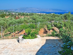 Vista dalla struttura