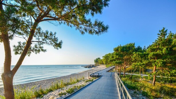 A boardwalk leading to a beach with a clear view of the sea, surrounded by trees and a sandy path. - Holiday Homes Close to the Seaside Beach (Ustronie Morskie)