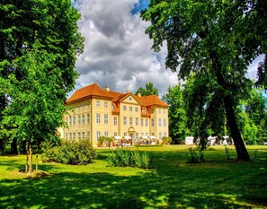 House | View from property - Ferienhaus im Mueritz-nationalpark (Mirow)