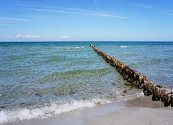 View from property - Ferienwohnung in Zingst (Zingst)
