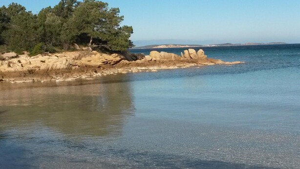 Ett kustlandskap med klart vatten, en stenig strand och tät vegetation.