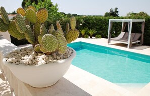 Pool - Villa in Apulia With Pool and Barbecue (Fasano)