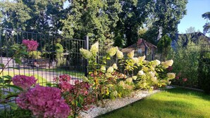 Un jardin agrémenté de diverses plantes à fleurs et délimité par une clôture en métal.