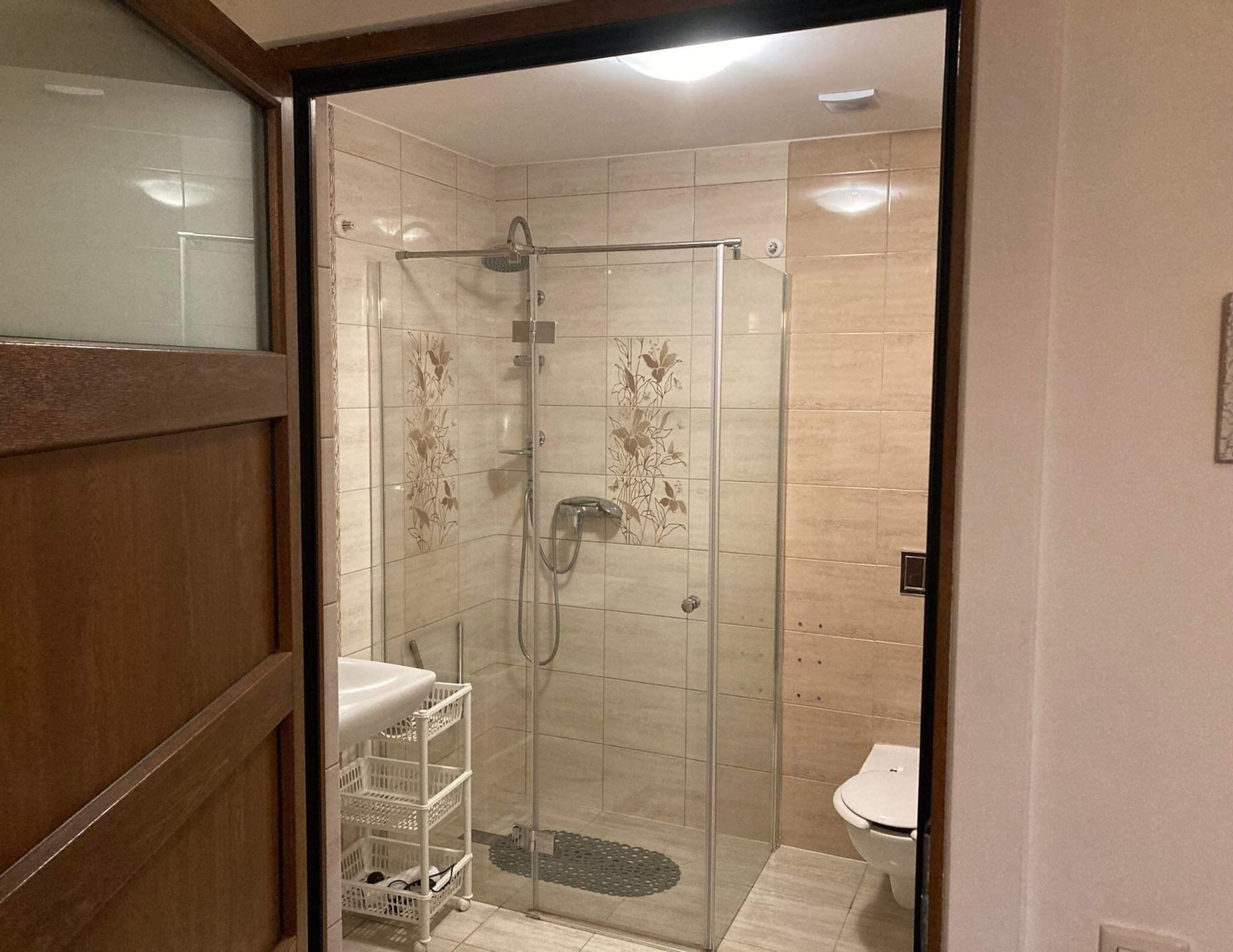 A glass-enclosed shower with a handheld showerhead, a toilet, and a white sink with a metal rack.