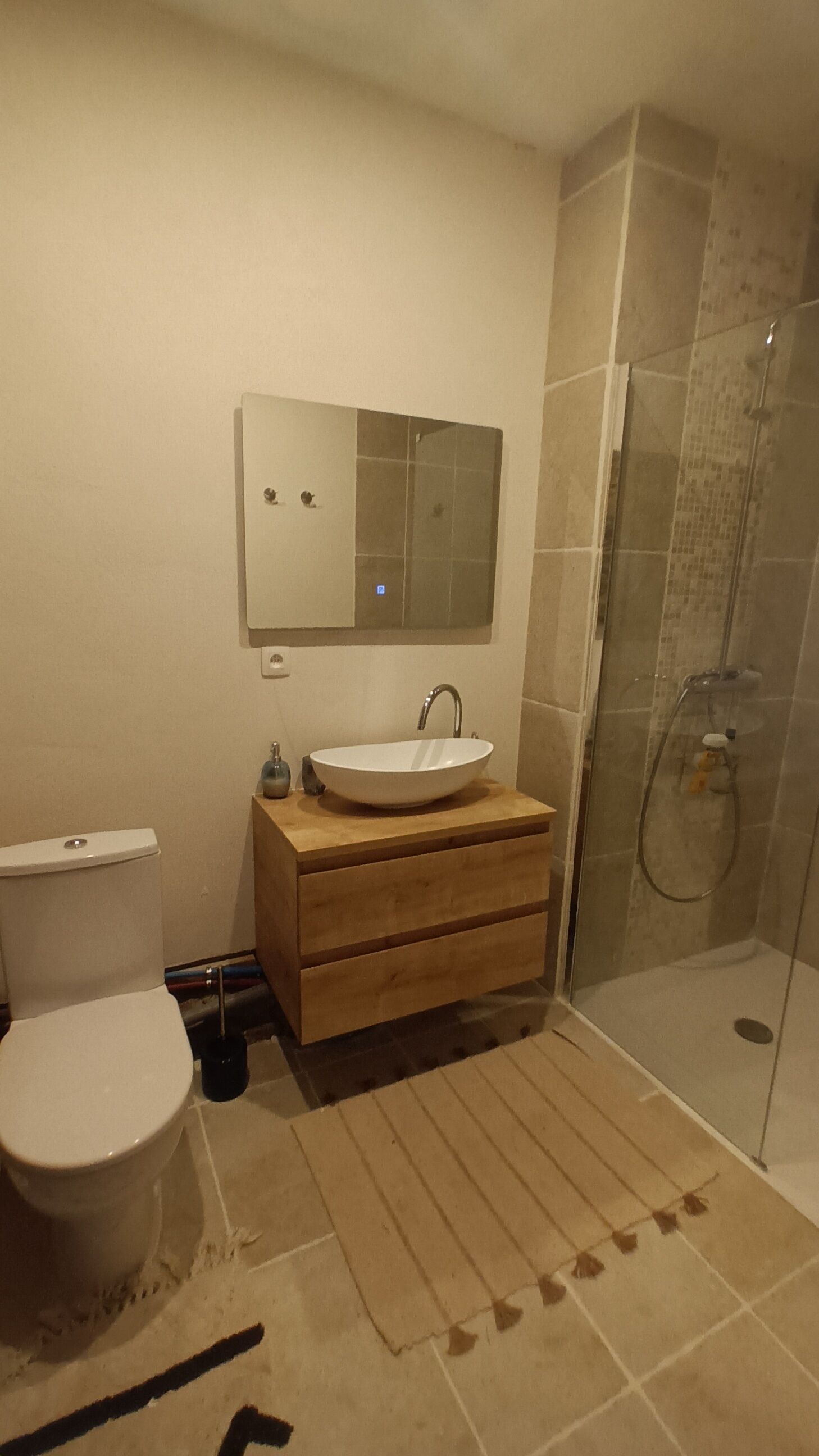 A bathroom with a toilet, a sink with a mirror above it, and a glass-enclosed shower area.