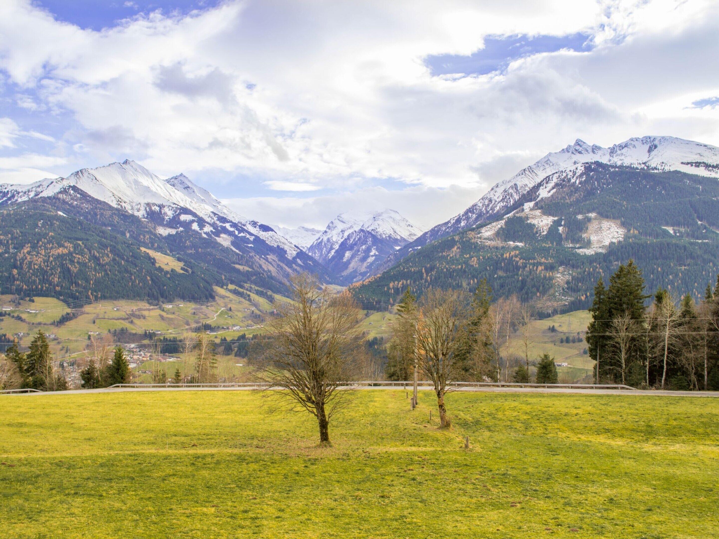 A mountainous landscape with a clear sky, a grassy field, and a few trees in the foreground.