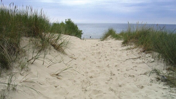 A sandy beach path leading to the sea, surrounded by grass. - Doppelhaushalfte Dunenhaus II, Trassenheide (Trassenheide)