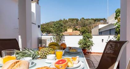 Faro's Malaga Citylights - Amazing Roof Terrace