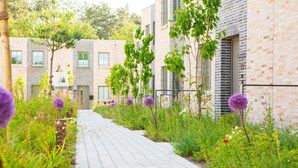 A pathway lined with greenery and purple flowers leading to a modern brick building with multiple windows and a door. - Aalernhus Ferienhaus mit Hotel-spa St.peter-ording (St. Peter-Ording)