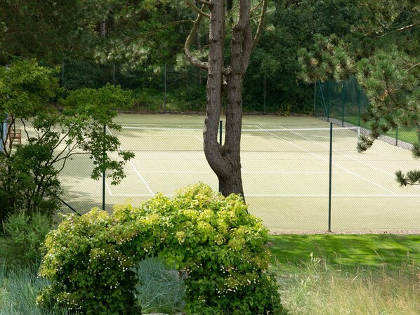 A tennis court surrounded by trees and a hedge.