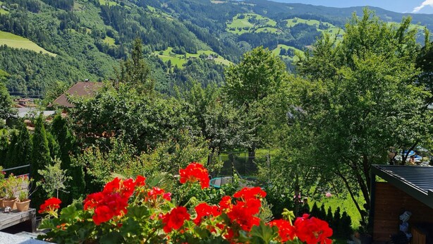 Un jardin parsemé de fleurs rouges, une terrasse en bois et une vue sur des collines verdoyantes, avec une petite maison en arrière-plan.
