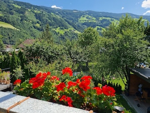 Apartment | Blick von der Unterkunft