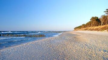 Ferienhaus | Blick von der Unterkunft