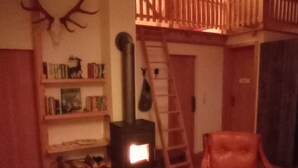 A cozy living room with a fireplace, a bookshelf, a ladder, and a leather chair. - Rossweid hut With a Fantastic View (Stans)