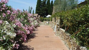 A paved pathway flanked by flowering shrubs and stone walls. - Campiglia Apartment Near Nature (Campiglia Marittima)