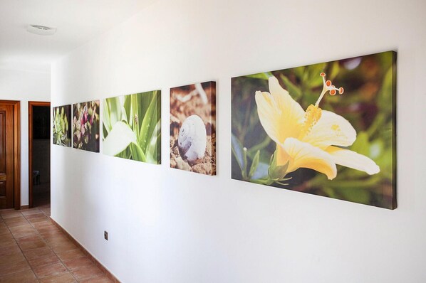 A hallway with a series of framed botanical prints on the wall. - 4 Star Holiday Home in La Oliva (La Oliva)