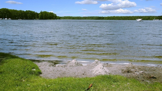 Un lago con spiaggia sabbiosa e zona erbosa.
