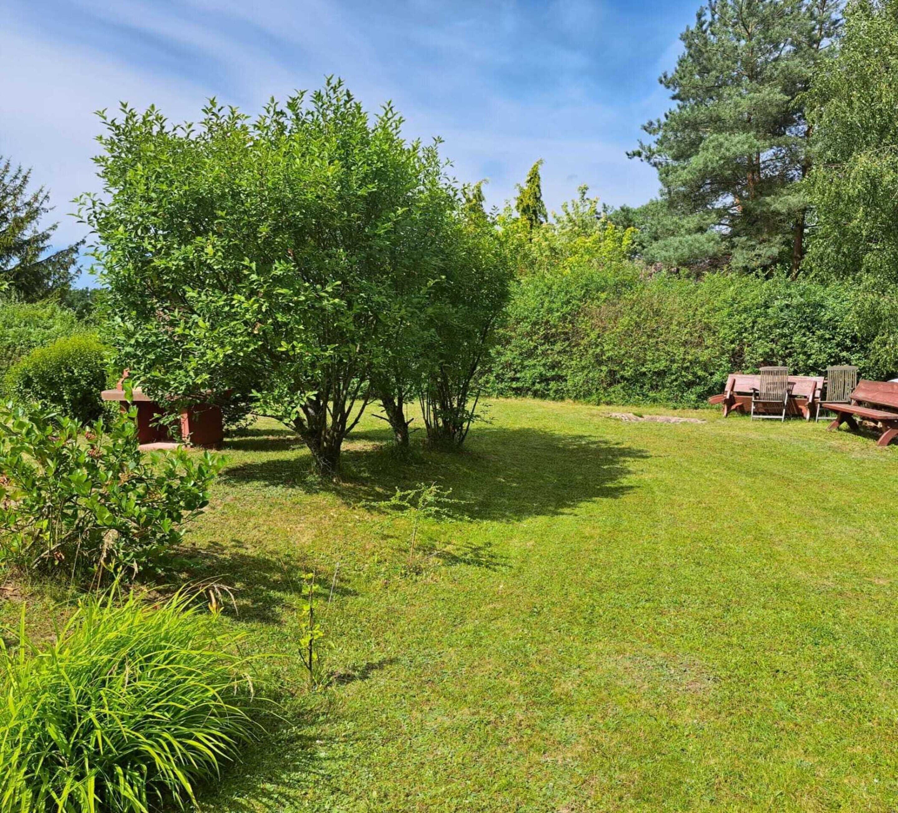 A grassy outdoor area with trees and wooden benches.