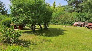 A grassy outdoor area with trees and wooden benches.