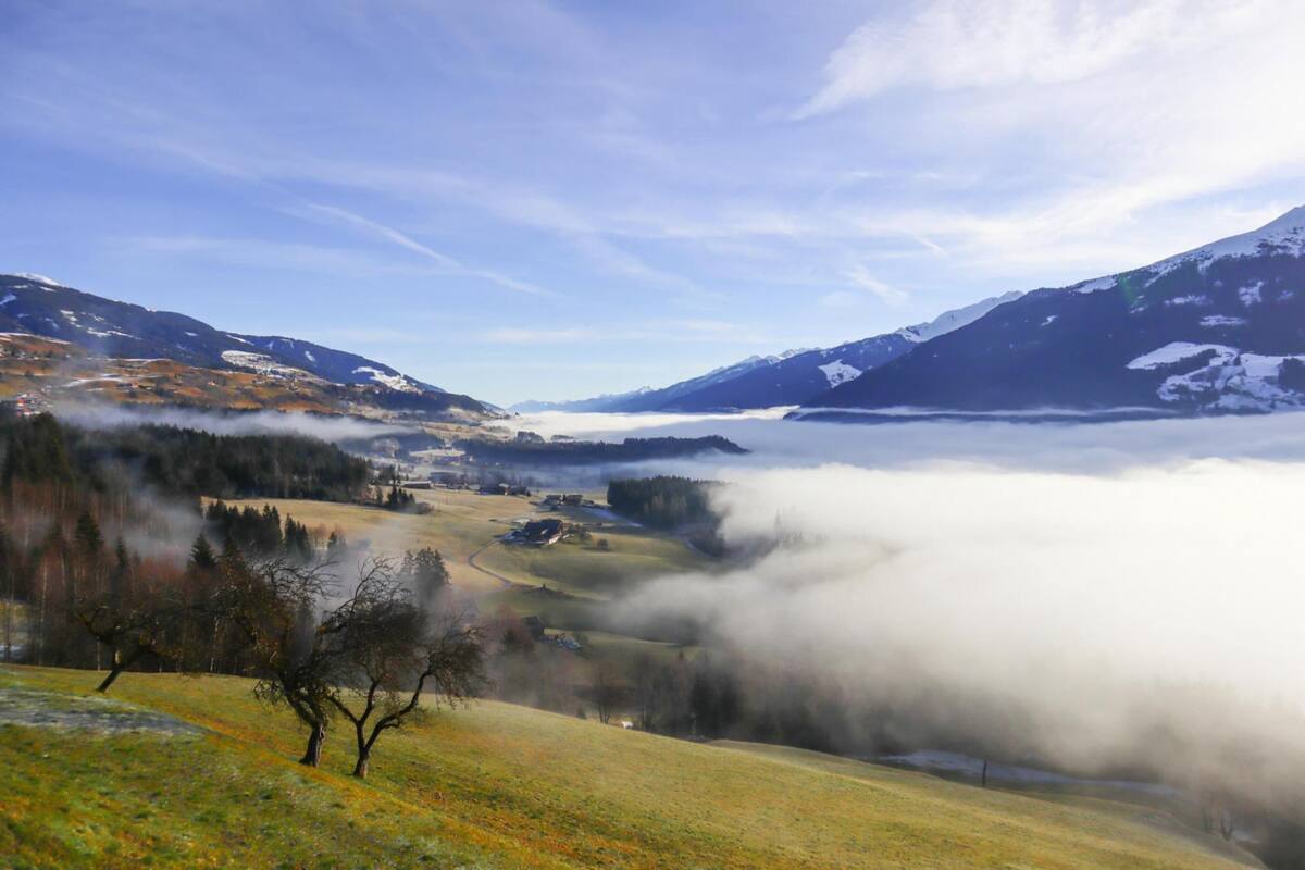 Bergachtig landschap met een vallei, bomen en een meer.
