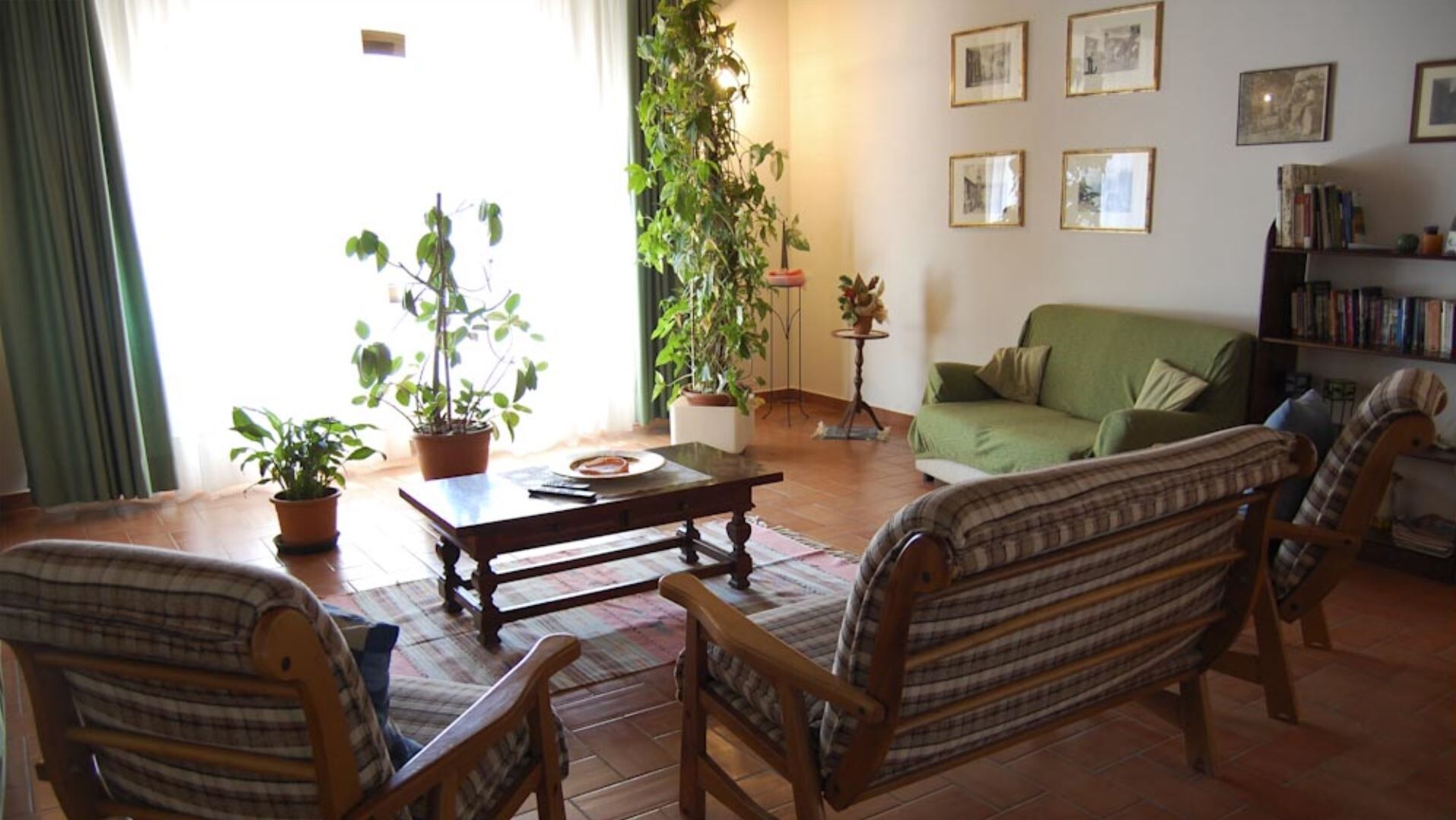 A cozy living room with a green sofa, two wooden chairs, a coffee table, and several potted plants.