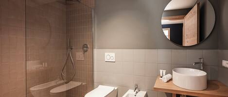 Shower, hair dryer, bidet, towels