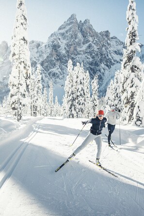 Wintersport/Ski