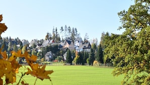 A residential area with houses, a green field, and autumn leaves in the foreground. - Wohnung in Ellefeld Nahe Skipisten (Ellefeld)
