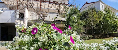 A residential area with a house featuring a balcony and a garden with purple flowers.