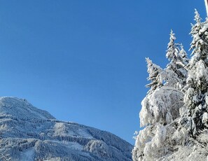 公寓 | 住宿景观