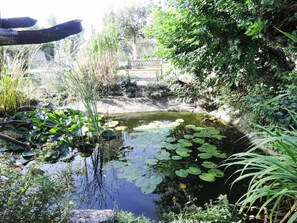 Exterior - Holiday Home in Karnocicie by Szczecin Lagoon (gmina Wolin)