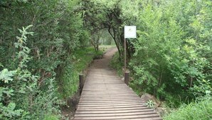 Property grounds - The Gate Guesthouse (Clarens)