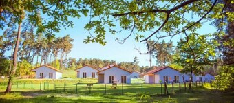 Gemutlicher Bungalow in Storkow am See