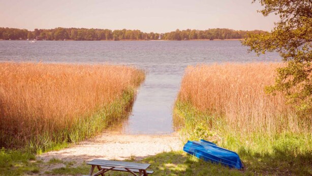 A lakeside path with a picnic table and a blue tarp, surrounded by tall grasses. - Gemutlicher Bungalow in Storkow am See (Storkow)