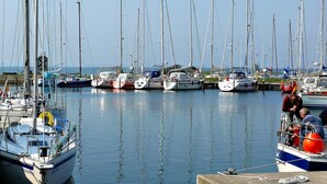 A marina with multiple sailboats docked in calm waters.