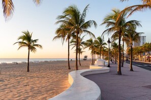 Camastros y toallas de playa 