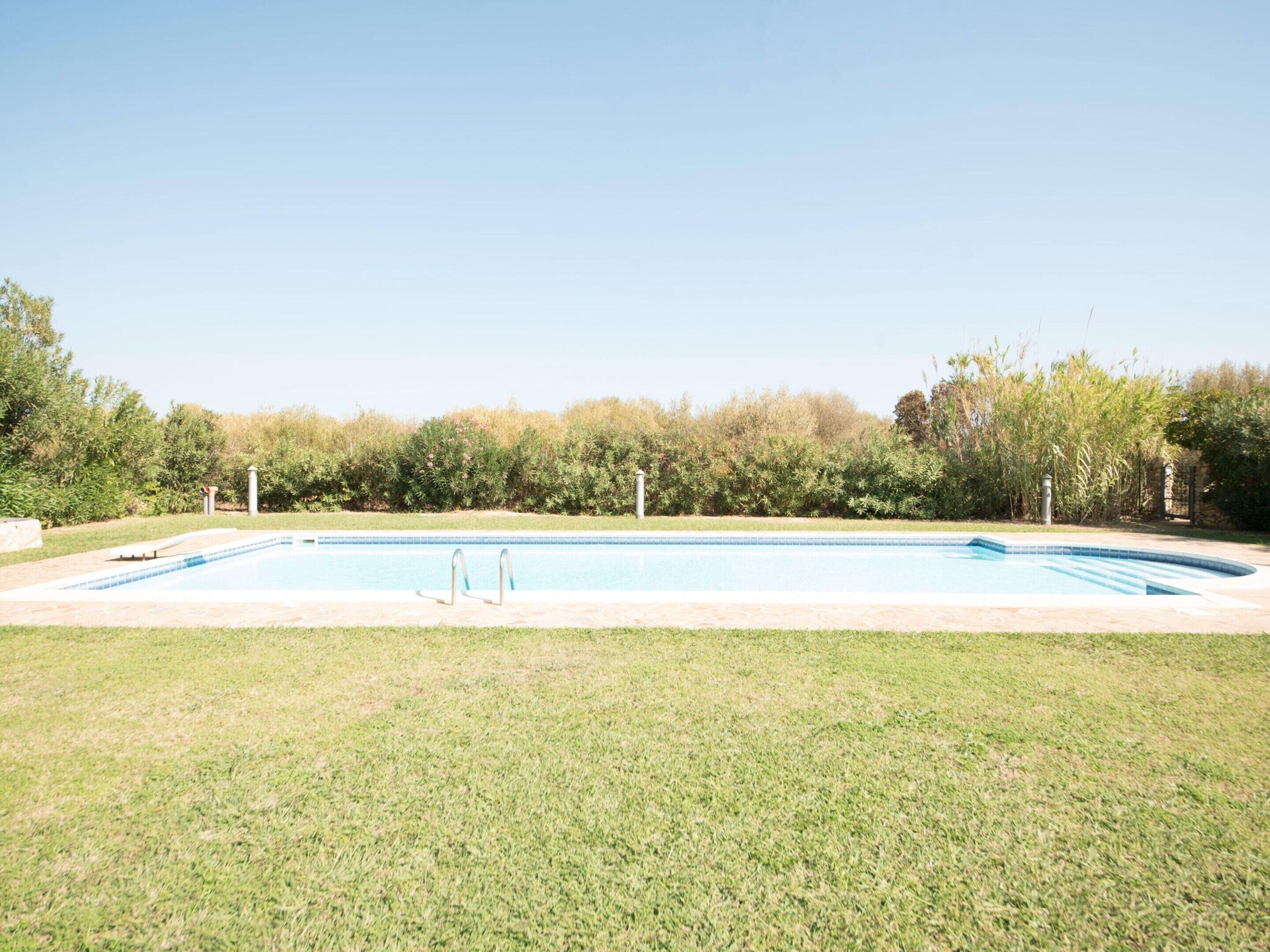 Una piscina rettangolare con trampolino, circondata da prato e siepe.
