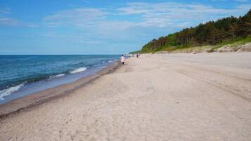 A beach with a sandy shore and a forested area in the background.